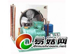 食用菌专业设备供应温控系统通风保温设备制冷机组图3
