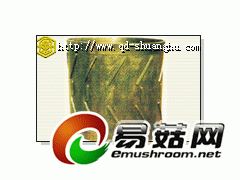 抛丸机履带/青岛抛丸机履带图1