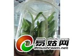 组培瓶育苗瓶组织培养瓶菌苗瓶兰花瓶虫草瓶玻璃瓶含盖图2