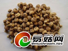 特价供应姬松茸 批发,价格最优!图1