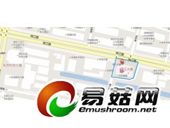 滑子菇 批发,质量上乘价格实惠图2