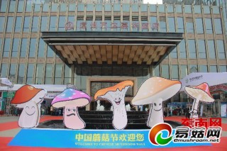 第七屆中國蘑菇節(jié)開啟 今日開幕 ()