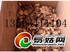 河南省鲁山县沙河销售各种类的香菇图1