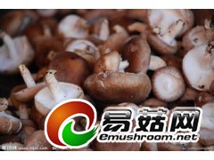 销售香菇秀珍菇图1