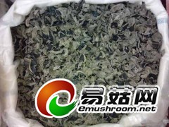 东北黑木耳批发东北黑木耳价格东北黑木耳产地东北黑木耳厂家图2