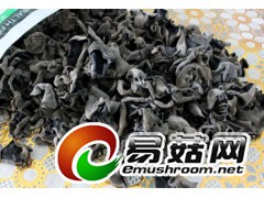 有机黑木耳批发纯绿色有机黑木耳批发原生态黑木耳批发图1