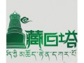 成都松茸批发 松茸批发价格