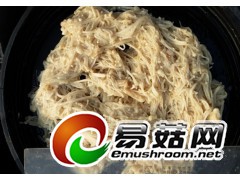 盐渍金针菇图2