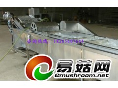 食用菌清洗机|菌类清洗机|蘑菇去杂清洗机图1