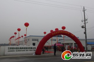 珍稀食用菌產(chǎn)業(yè)又添新軍：國內最大的鹿茸菇生產(chǎn)基地江蘇菇本堂建成投產(chǎn) ()