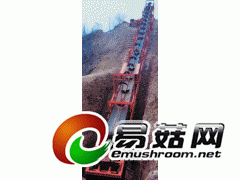 耐油输送带/青岛耐油输送带图2