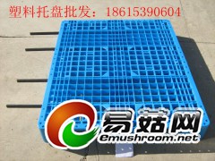 冷库食品仓储塑料托盘图1