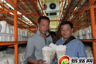 食用菌發(fā)展道路上的領路人--記山東常生源菌業(yè)有限公司董事長常猛 ()