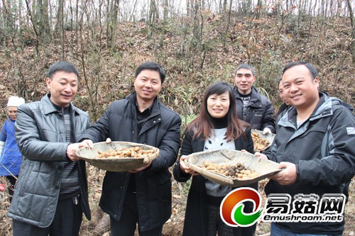 中共德江县委副书记黄继荣（左一）、德江县人民副县长王英（左三）展示麻农采挖的新鲜天麻