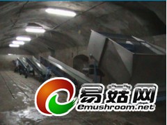 双孢菇发酵隧道建设图1