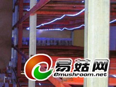 食用菌生长灯条 食用菌LED灯带 食用菌补光灯 LED灯带图2