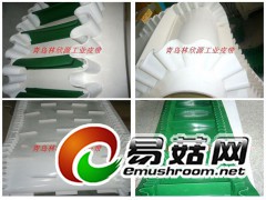 青岛挡边输送带图2