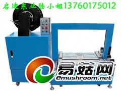 QD-200AL标准无人化低台打包机/无人化全自动包机图1