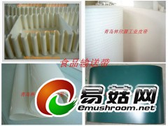 白色无毒食品输送带图1