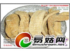 天麻的种植，野生天麻种植，天麻主产地图1