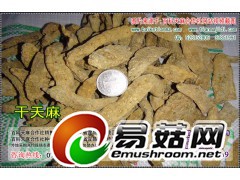 天麻的市场价格，天麻1号种植，天麻种植怎么样图1