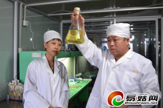 老潘和他的食用菌 ()
