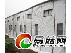香菇种植大棚膜膜 香菇防晒膜 香菇遮阳膜 香菇专用黑白膜图1