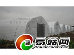 草菇专用黑白膜 草菇大棚种植膜 草菇防晒膜图3