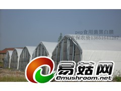 上海黑白膜 江苏黑白膜 浙江黑白膜 江西黑白膜厂家直销图1