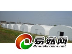 上海黑白膜 江苏黑白膜 浙江黑白膜 江西黑白膜厂家直销图2