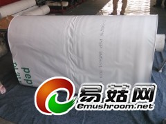 农用黑白膜 食用菌农膜 食用菌大棚膜 食用菌反光膜图2