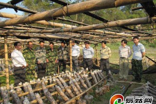 廣西龍州縣領(lǐng)導(dǎo)深入下凍鎮(zhèn)檢查指導(dǎo)食用菌生產(chǎn) ()
