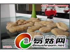 泰山天麻种植，天麻的市场，天麻种植可信吗图1