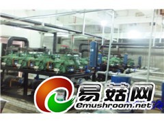 香菇冷库报价图1