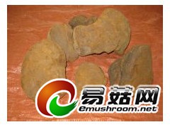 桑黄--13967868399图1