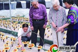 多名院士建議用中醫(yī)藥抗癌破壁靈芝孢子粉功效受肯定 ()
