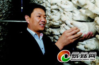 小小蘑菇的跨國(guó)“財(cái)”緣 ()