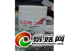 食用菌蚊蝇、蛆虫防治技术服务图2