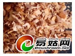 大量供应木屑，玉米芯图1