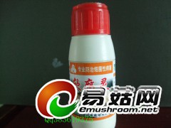 食用菌软腐病的防治图1