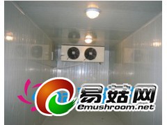 吉林蘑菇保鲜冷库建造公司香菇保鲜冷库安装图1