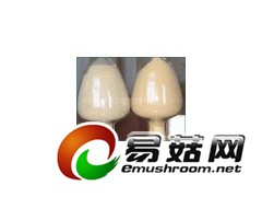 生物发酵腐熟剂图1