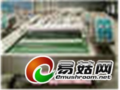 供应DZ1000链动式真空包装机图1