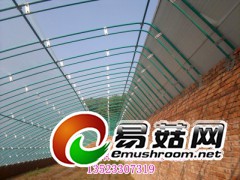 单栋钢管蔬菜大棚支架，钢管温室大棚骨架机，食用菌种植大棚图1