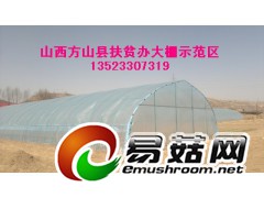 养殖大棚骨架怎么建设,钢管养殖大棚建设造价图1