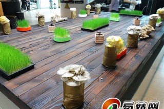 看得見(jiàn)的菜園餐廳 特推即摘即食全菇宴 ()