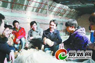 張國(guó)慶：新式蘑菇玩法走進(jìn)中小學(xué)手工課和親子互動(dòng)平臺(tái) ()