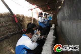“暖房菌類(lèi)培育基地”進(jìn)校園小學(xué)生興趣高 ()
