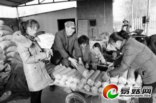 扶持蔬菜、食用菌產(chǎn)業(yè)發(fā)展[圖] ()