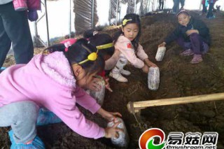 青島靈芝生態(tài)園打造休閑旅游區(qū)助推“生態(tài)經(jīng)濟(jì)化” ()